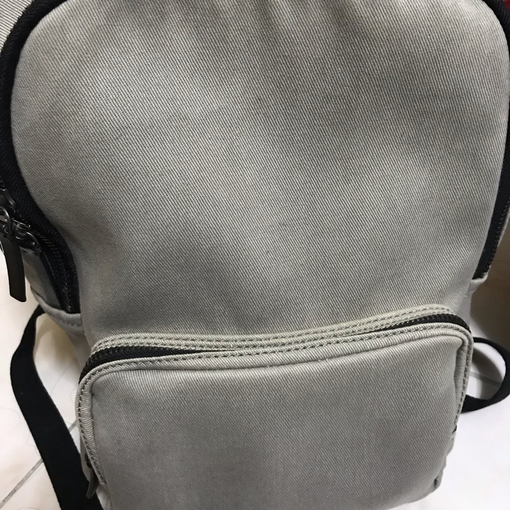 Everlane Grey Backpack